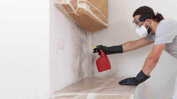 Professional Commercial Mold Remediation technician working in Englewood Cliffs, NJ